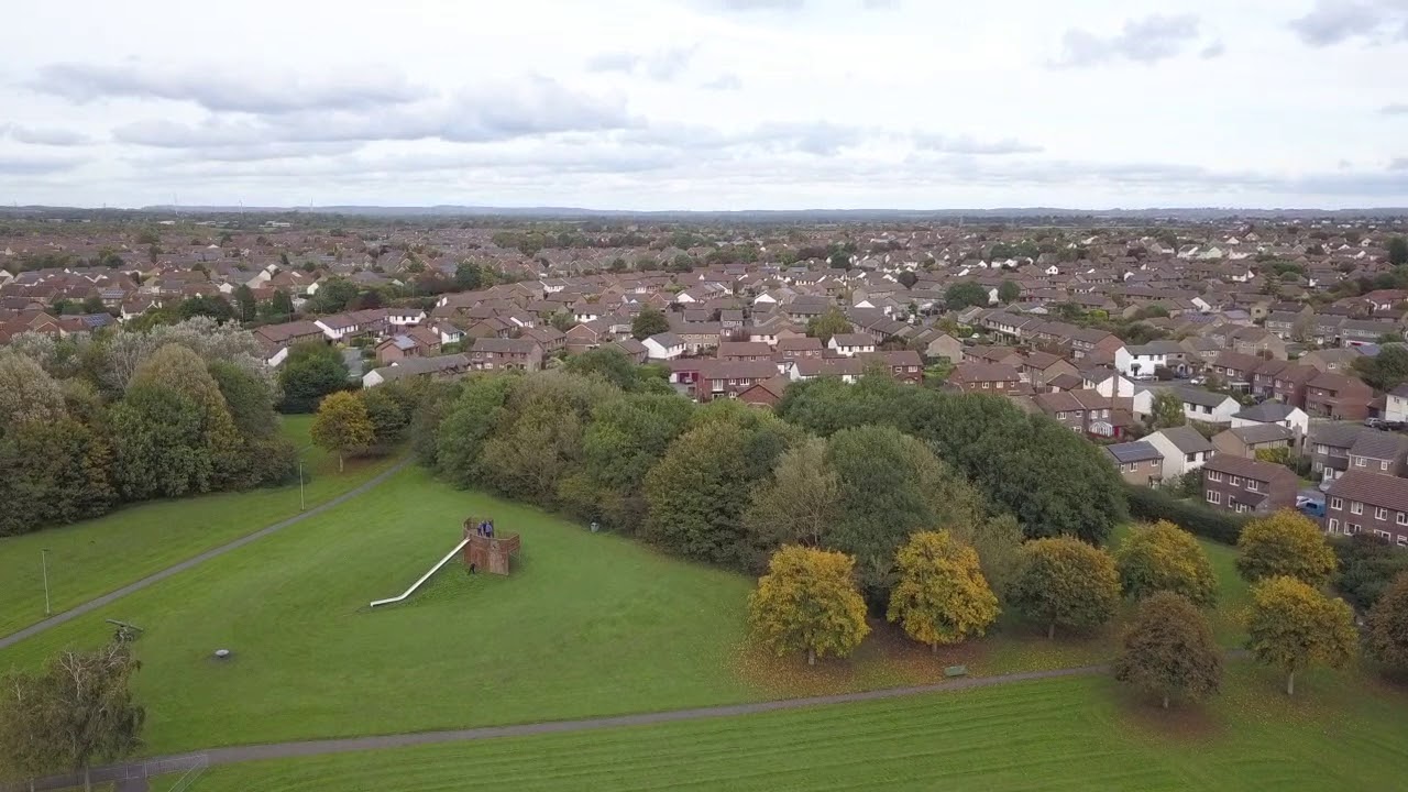 Walk on the wild side Eclectic Blue